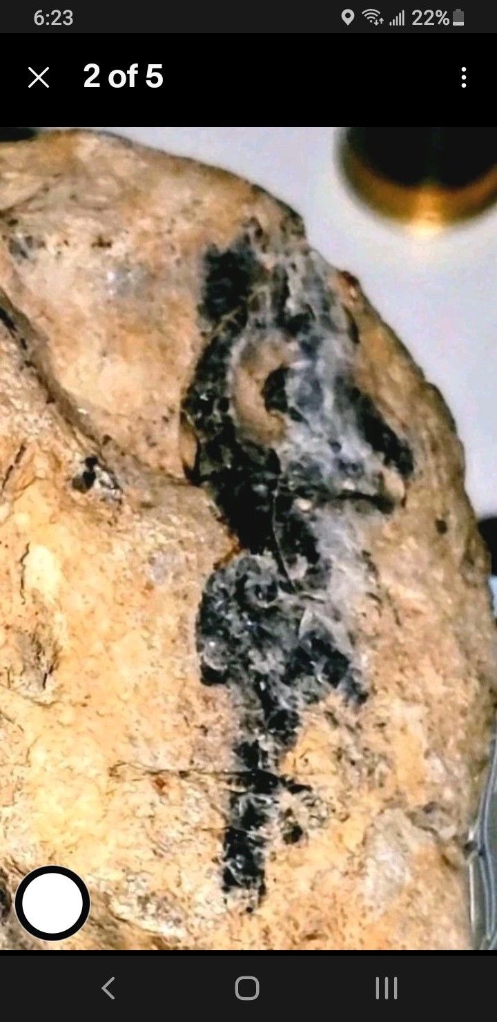 Fossil / Menolite Speciman Delaware River