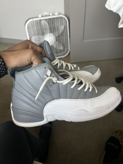 Air Jordan 12 Stealth