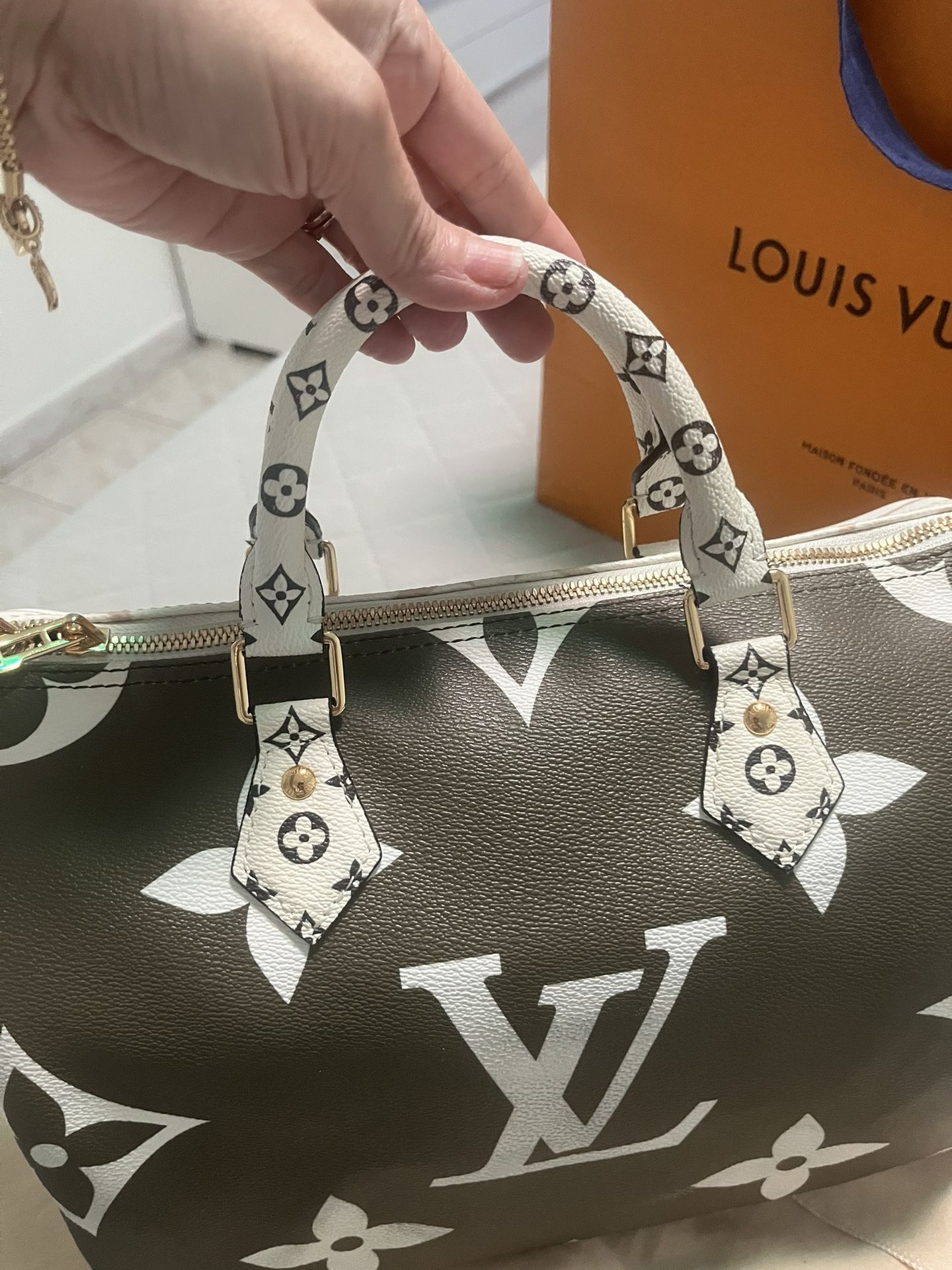 Louis Vuitton Speedy Bag Special Edition