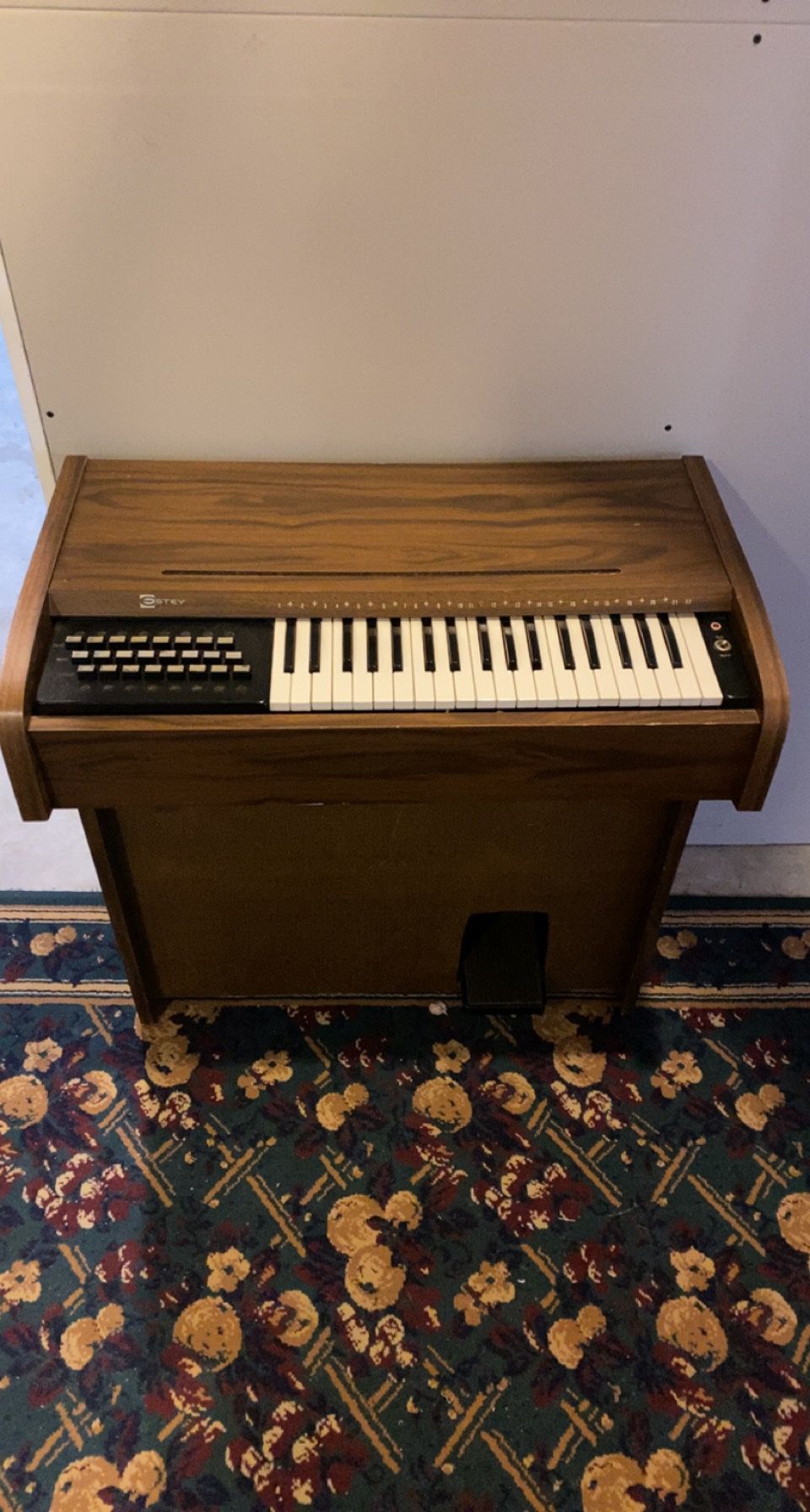 Estey Electric Panio