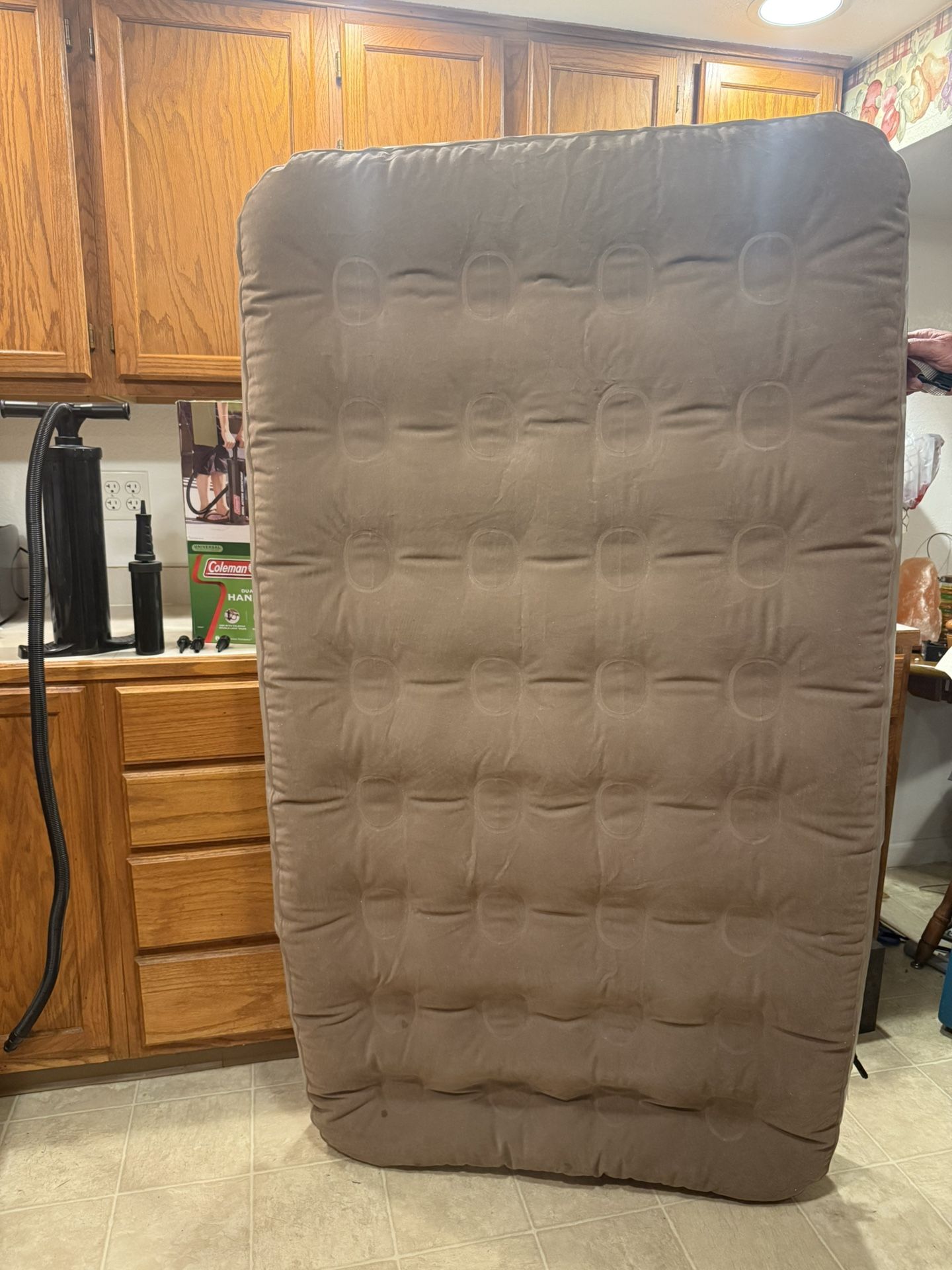 Two (2) Coleman Blowup Mattresses & Handpump