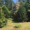 Gig harbor