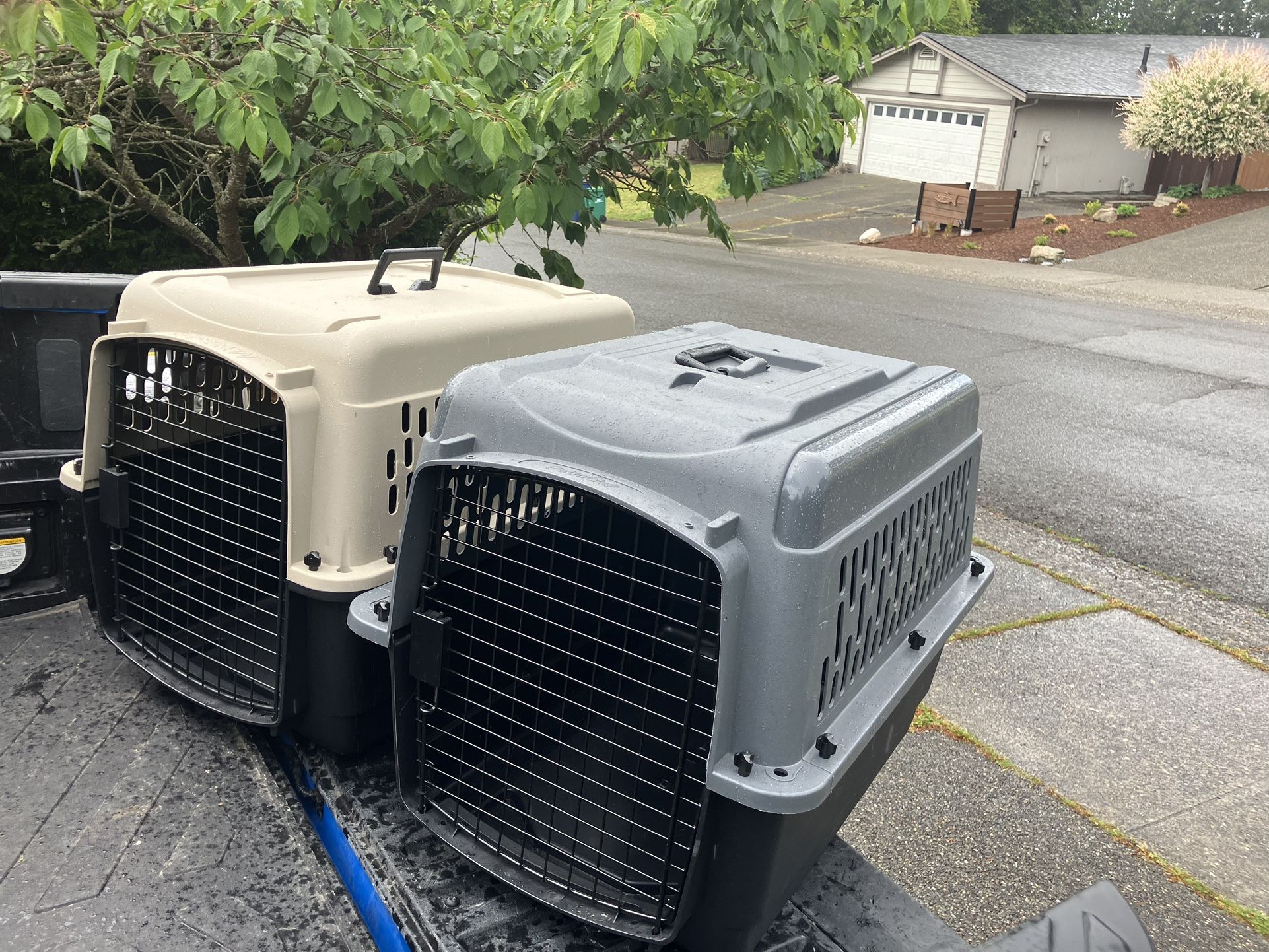 Medium Dog Kennel Crate Carrier Airline Approved like New 28” L by 20” W by 20” $35 Each