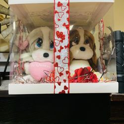 Sad Sam & Honey Valentine