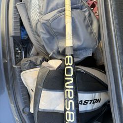 Bonesabr USA Baseball Bat