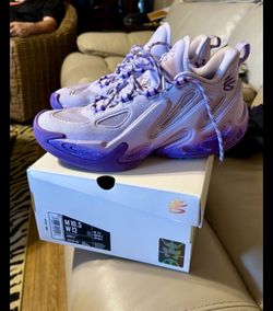 Curry 13