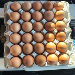 Free Range Large Brown Eggs 