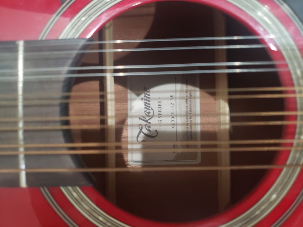 Takamine 12 String