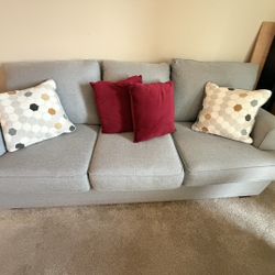 Gray Couch 