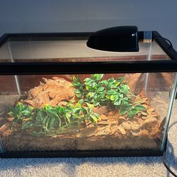 Animal Terrarium
