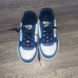 Blue And White Puma