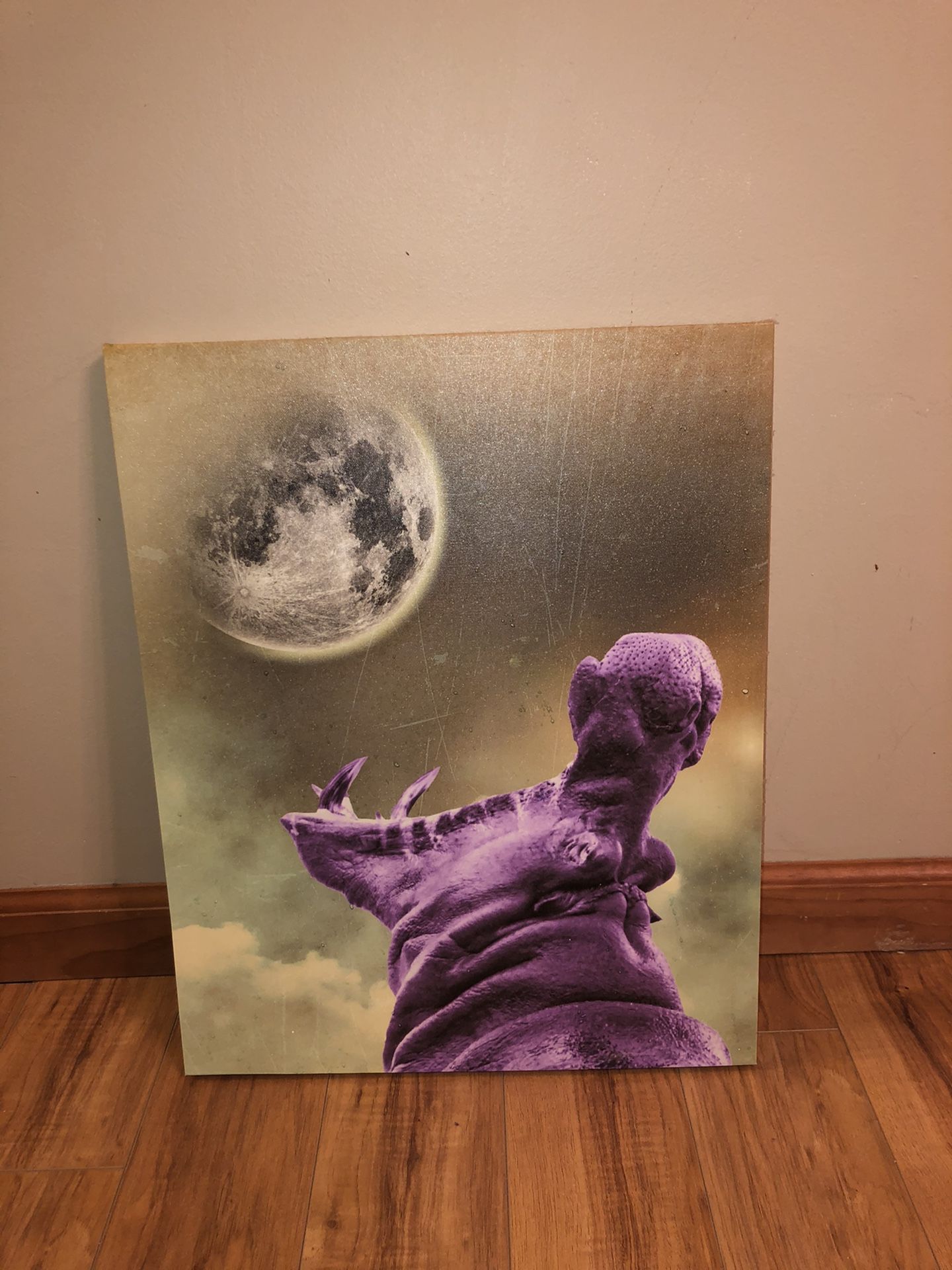 Purple howling hippo canvas art