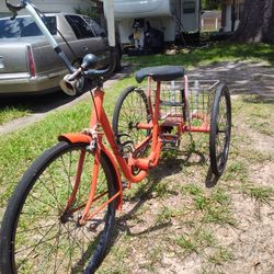 3 Wheel Tricycle Bicycle (Flat Tires)