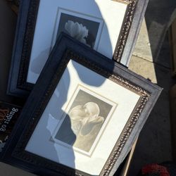 Flower Picture Frames 
