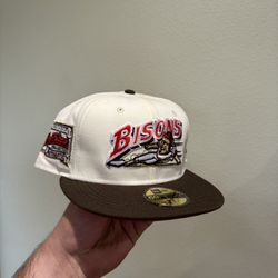 Bisons Fitted