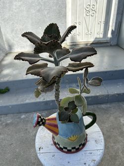 Felt Bush Potted Plant