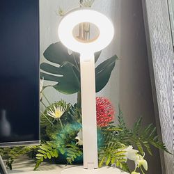 LED Touch Lamp 