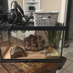 Gecko Cage & Supplies