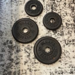 Billard Barbell Weights 