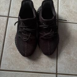 Yeezy 350