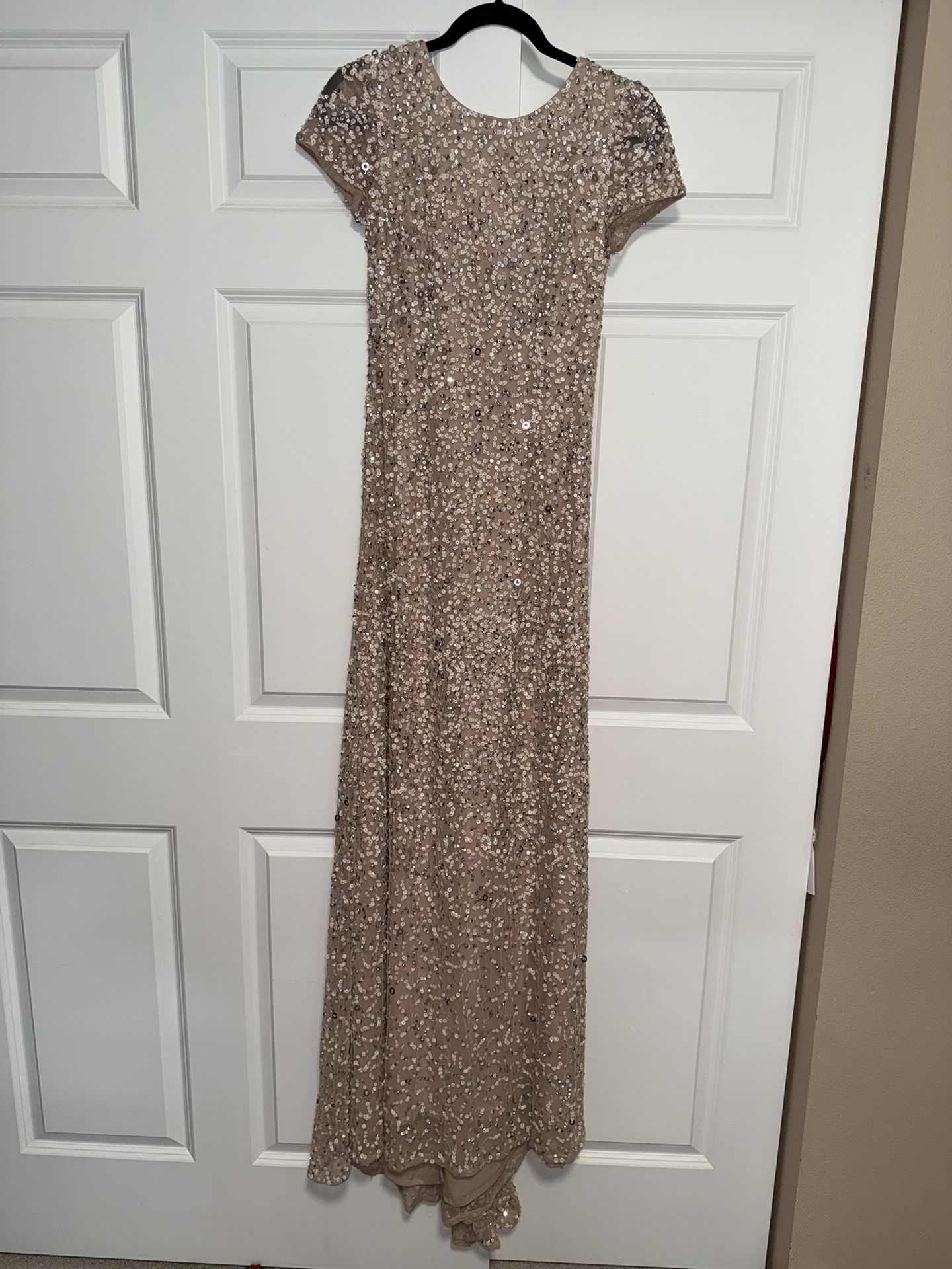 Adrianna Papell Evening Gown