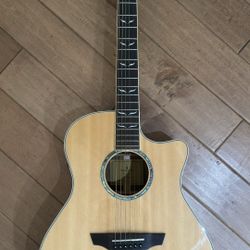 Mason Live Orangewood Guitar with Gigbag