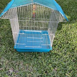 Bird Cage