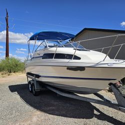 1995 Bayliner Cuddy
