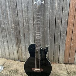Washburn AB10