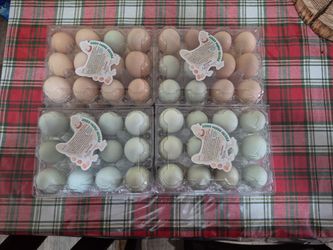 Easter layers Fresh egg.
