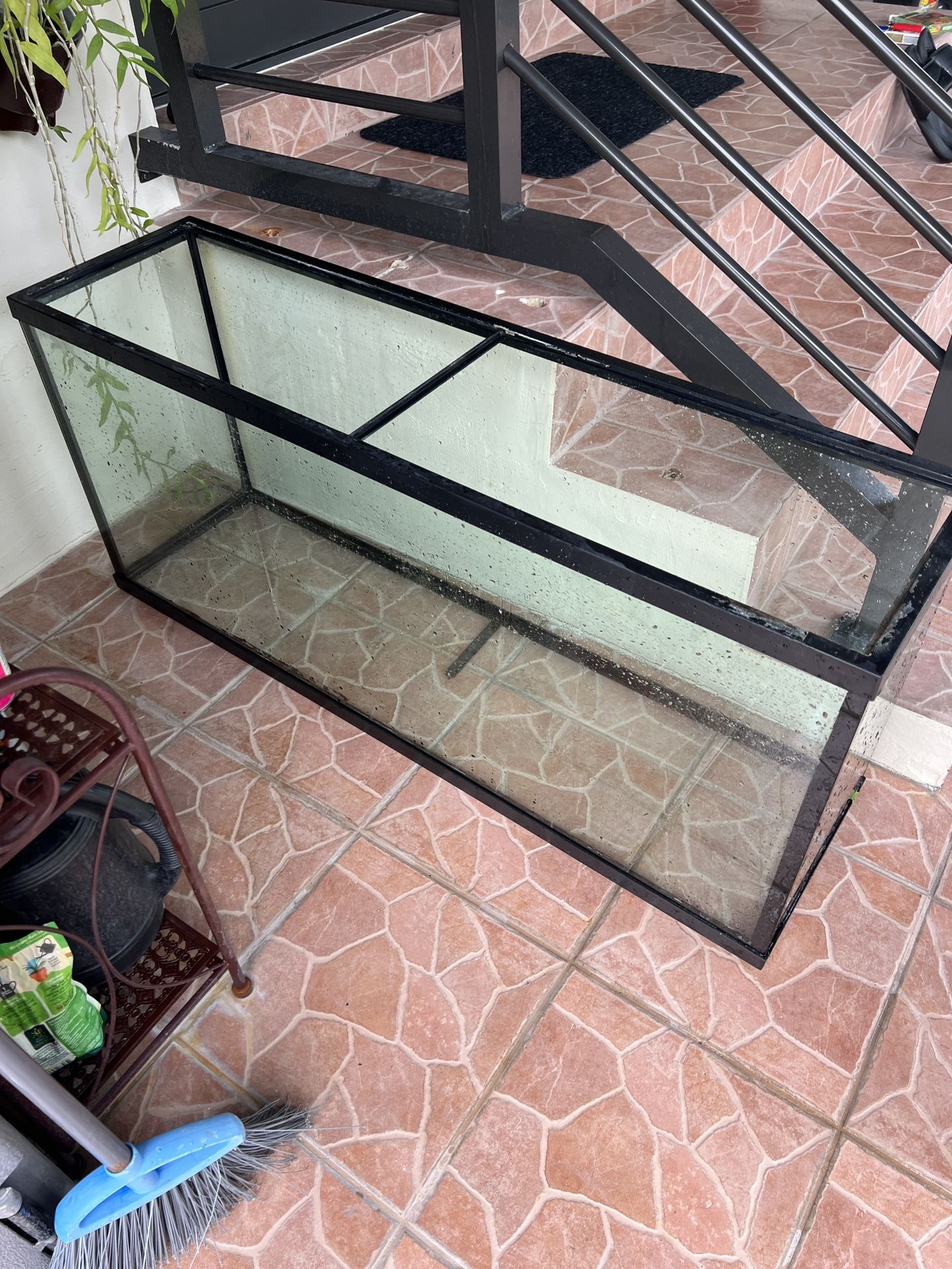 55 Gallon Fish Tank & Stand + Accessories
