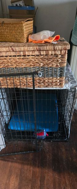 Large dog " kennel" " cage"