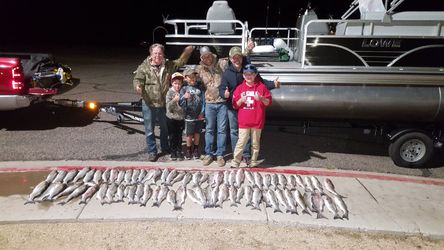 Licensed and Insured Guided Day/Night Fishing at Lake Pleasant on my pontoon boat