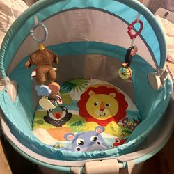 On The Go Baby Dome