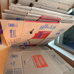 Moving Cardboard Boxes
