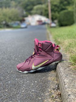 Lebron clearance 12s purple