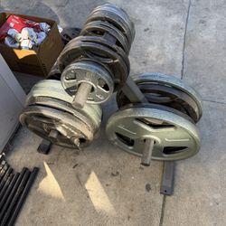 Weights And Tree 490 Lbs