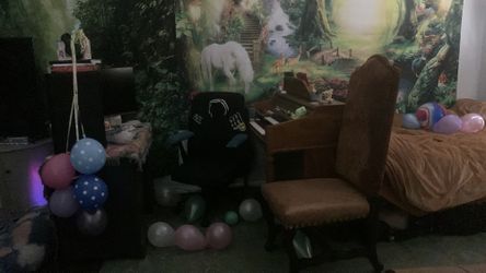 Beautiful ELECTRIC ORGAN