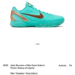 Jalen Brunson kobe 6