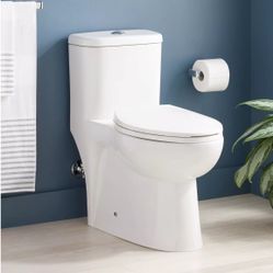 Signature Hardware One Piece Toilet