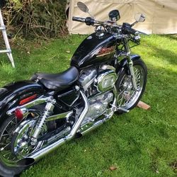 1998 Harley XL 883 Sportster