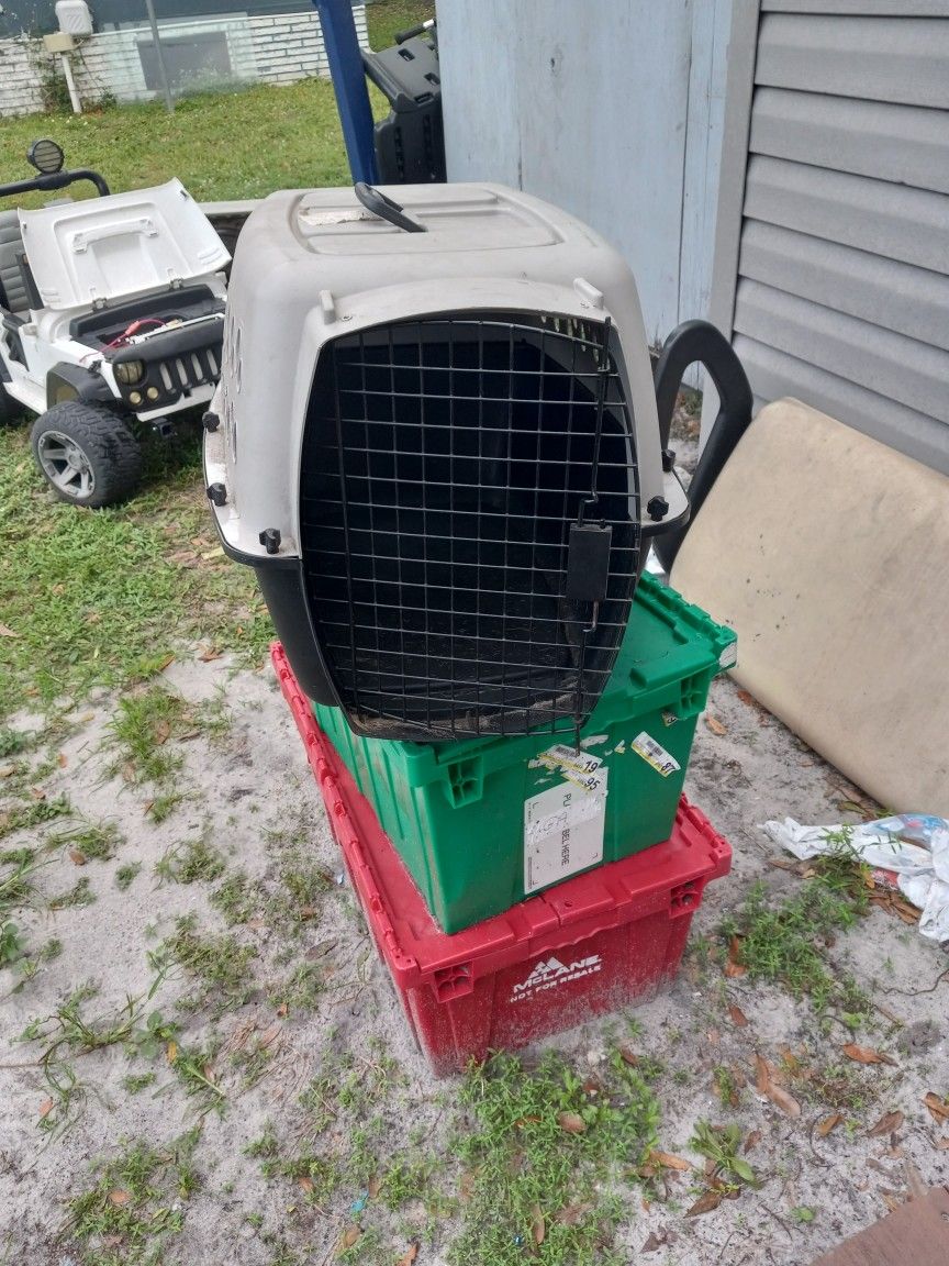 SMALL DOG OR CAT CARRING