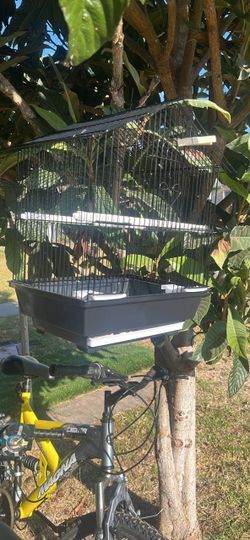 Small bird cage