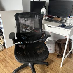 Ergonomic Desk Chair