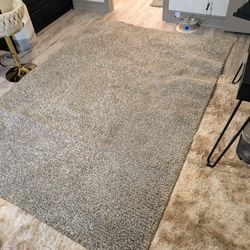 6'7 x 9'3 Living/Bedroom Tan Shag Rug - Carpet Washed