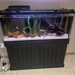 55 Gallon Fish Tank