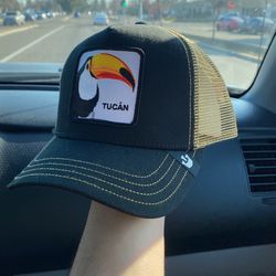 Hat Goorin Bros Trucker Hat