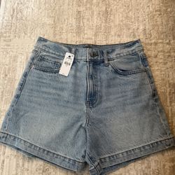 Denim Shorts (Express)