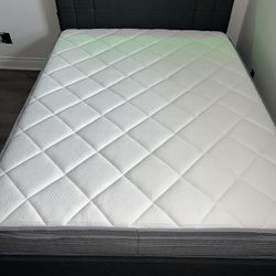 QUEEN BED (NEW) 