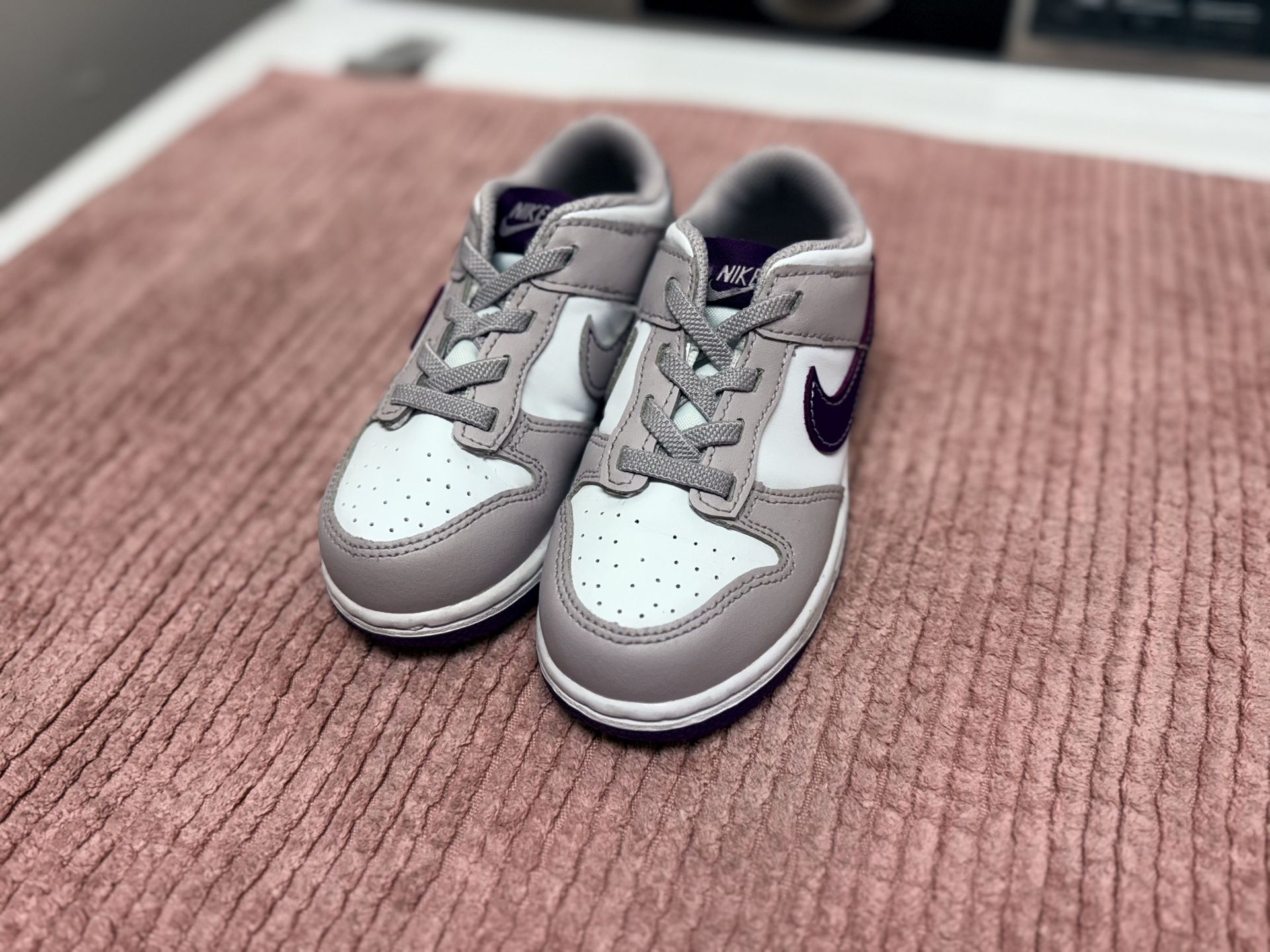 Kids Nike Dunks